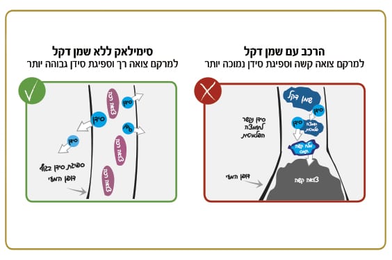 תרשים השוואתי המתאר את מרקם הצואה וספיגת הסידן בתמ”ל עם שמן דקלים וללא שמן דקלים