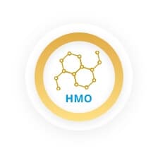 אלמנט הרכיב הייץ' הם או HMO