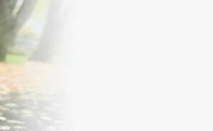 אישה הרה יושבת בפארק ביום סתיו