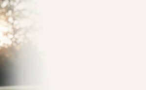 אישה צעירה עושה מתיחות בחיק הטבע